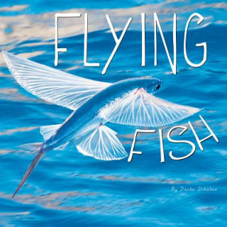 Kniha Flying Fish Darla Duhaime