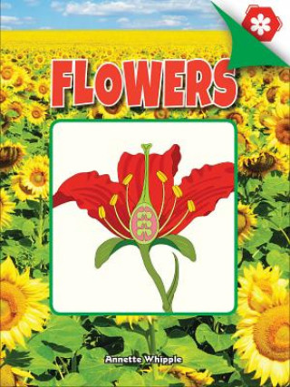 Book Flowers Annette Whipple