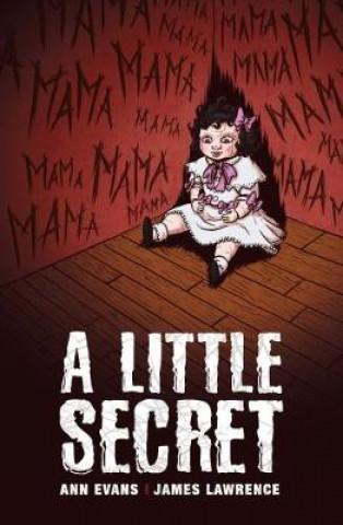Kniha Little Secret Ann Evans
