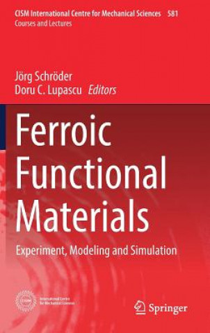 Kniha Ferroic Functional Materials Jörg Schröder