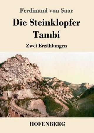 Книга Steinklopfer / Tambi Ferdinand Von Saar