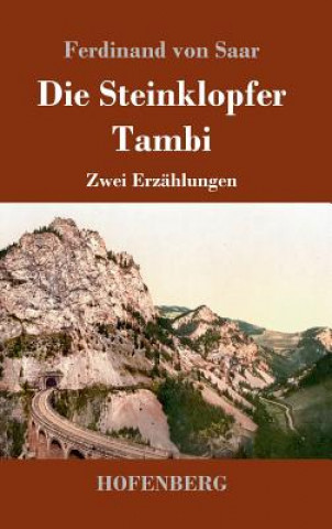 Книга Die Steinklopfer / Tambi Ferdinand Von Saar