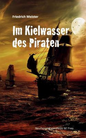 Livre Im Kielwasser des Piraten Friedrich Meister