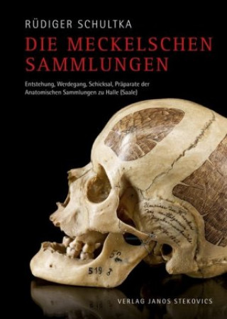 Kniha Die Meckelschen Sammlungen Rüdiger Schultka