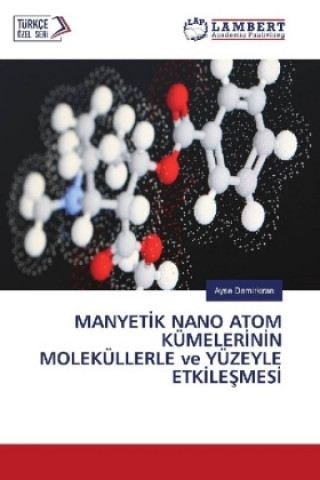 Libro MANYETIK NANO ATOM KÜMELERININ MOLEKÜLLERLE ve YÜZEYLE ETKILESMES Ayse Demirkiran