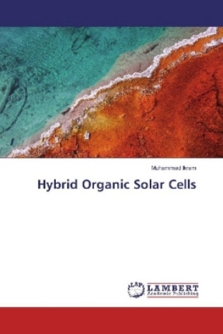 Libro Hybrid Organic Solar Cells Muhammad Ikram