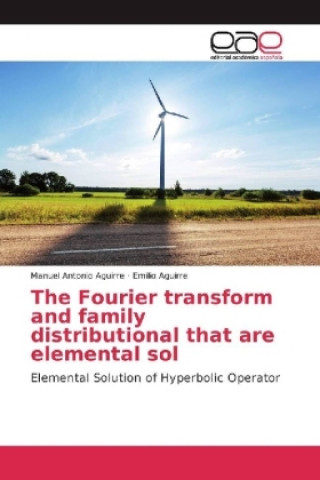 Kniha The Fourier transform and family distributional that are elemental sol Manuel Antonio Aguirre