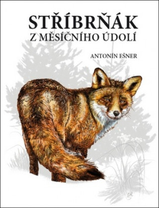 Книга Stříbrňák z Měsíčního údolí Antonín Ešner