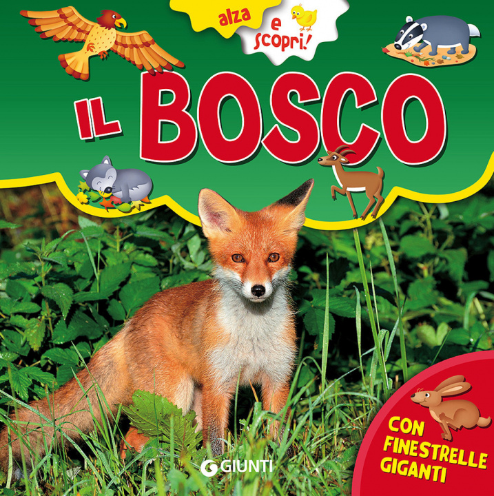 Könyv Il bosco Gianna Porciatti