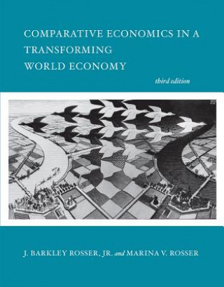 Kniha Comparative Economics in a Transforming World Economy Rosser