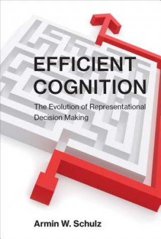 Kniha Efficient Cognition Schulz