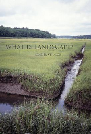 Kniha What Is Landscape? Stilgoe