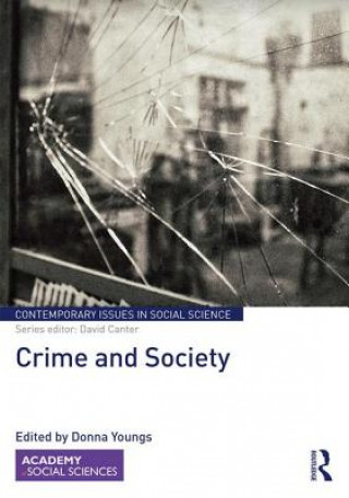 Книга Crime and Society 