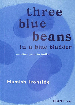 Książka Three Blue Beans Hamish Ironside