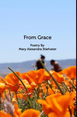 Buch From Grace MARY ALE STIEFVATER