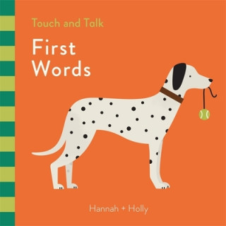 Książka Hannah + Holly Touch and Talk: First Words Hannah & Holly