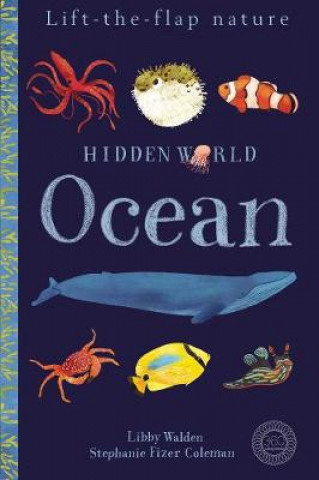 Kniha Hidden World: Ocean Libby Walden