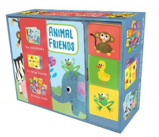 Könyv Animal Friends Bingo Playset Kasia Nowowiejska