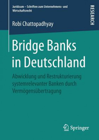 Kniha Bridge Banks in Deutschland Robi Chattopadhyay