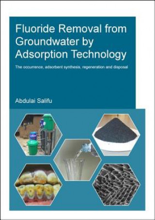 Książka Fluoride Removal from Groundwater by Adsorption Technology Salifu