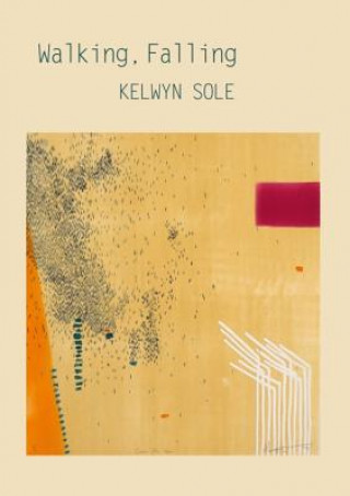 Libro Walking. Falling Kelwyn Sole