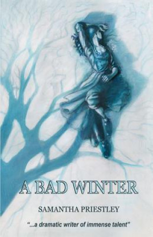 Książka Bad Winter Samantha Priestley
