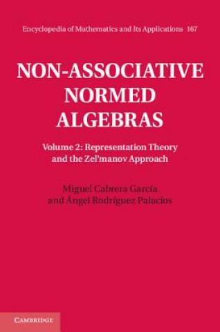 Книга Non-Associative Normed Algebras GARC   MIGUEL CABRER