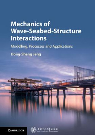 Kniha Mechanics of Wave-Seabed-Structure Interactions JENG  DONG SHENG