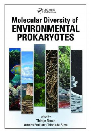 Buch Molecular Diversity of Environmental Prokaryotes 