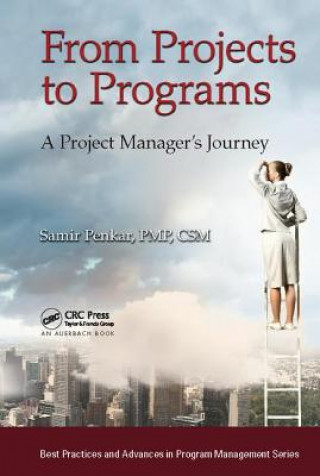 Book From Projects to Programs Samir Penkar