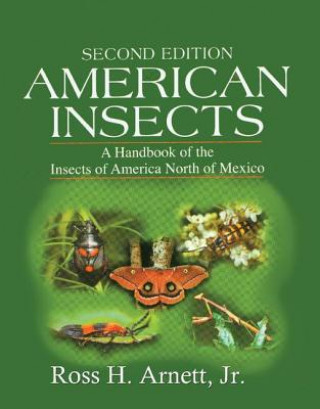 Kniha American Insects Jr. Arnett