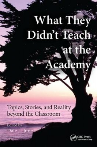 Книга What They Didn't Teach at the Academy 