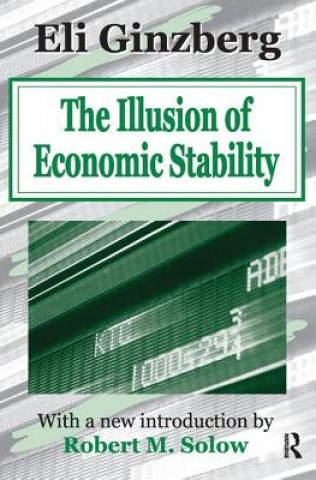 Kniha Illusion of Economic Stability Eli Ginzberg