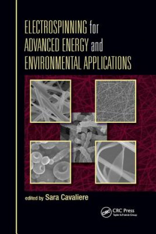 Knjiga Electrospinning for Advanced Energy and Environmental Applications 