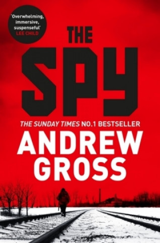 Könyv Spy Andrew Gross