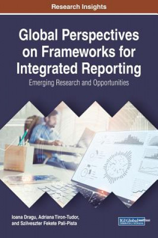 Kniha Global Perspectives on Frameworks for Integrated Reporting Ioana Dragu