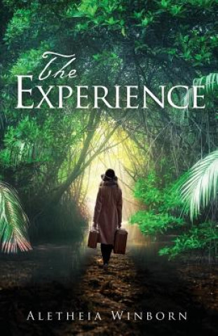 Knjiga Experience Aletheia Winborn