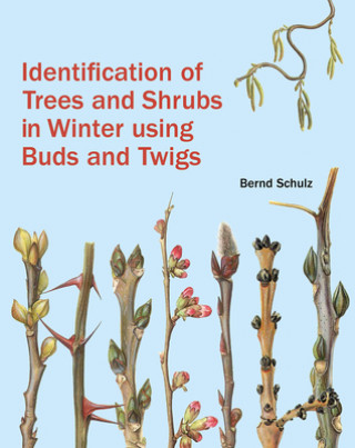 Könyv Identification of Trees and Shrubs in Winter Using Buds and Twigs Bernd Schulz