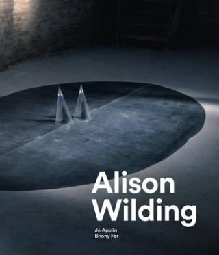 Książka Alison Wilding JO APPLIN