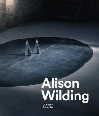 Livro Alison Wilding JO APPLIN