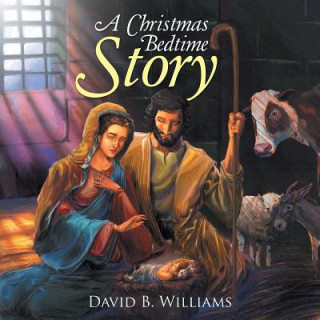 Book Christmas Bedtime Story DAVID B. WILLIAMS