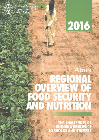 Książka Africa regional overview of food insecurity Food and Agriculture Organization of the United Nations