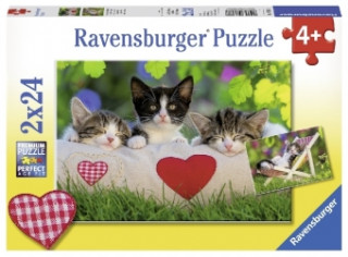 Joc / Jucărie Ravensburger Kinderpuzzle - 07801 Verschlafene Kätzchen - Puzzle für Kinder ab 4 Jahren, mit 2x24 Teilen 