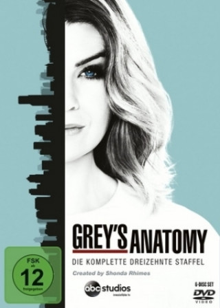 Videoclip Grey's Anatomy, Die jungen Ärzte. Staffel.13, 6 DVDs Susan Vaill