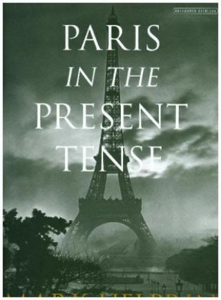 Kniha Paris in the Present Tense Mark Helprin