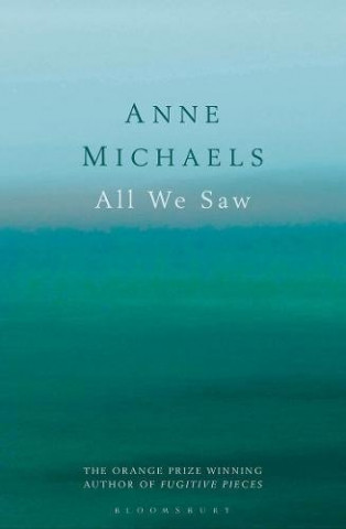 E-kniha All We Saw Anne Michaels