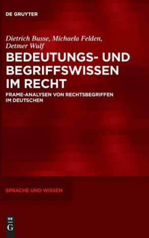 Kniha Bedeutungs- und Begriffswissen im Recht Dietrich Busse