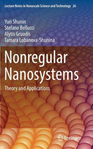 Book Nonregular Nanosystems Yuri Shunin
