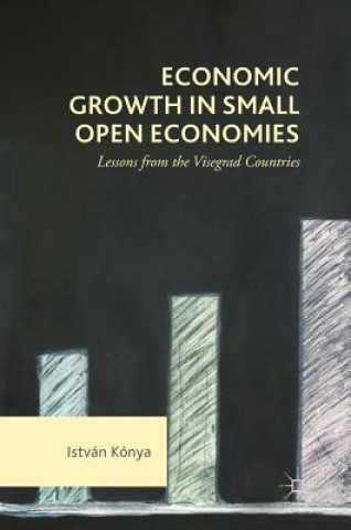 Kniha Economic Growth in Small Open Economies Istvan Konya