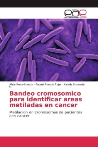 Könyv Bandeo cromosómico para identificar áreas metiladas en cáncer Alicia Rojas Atencio